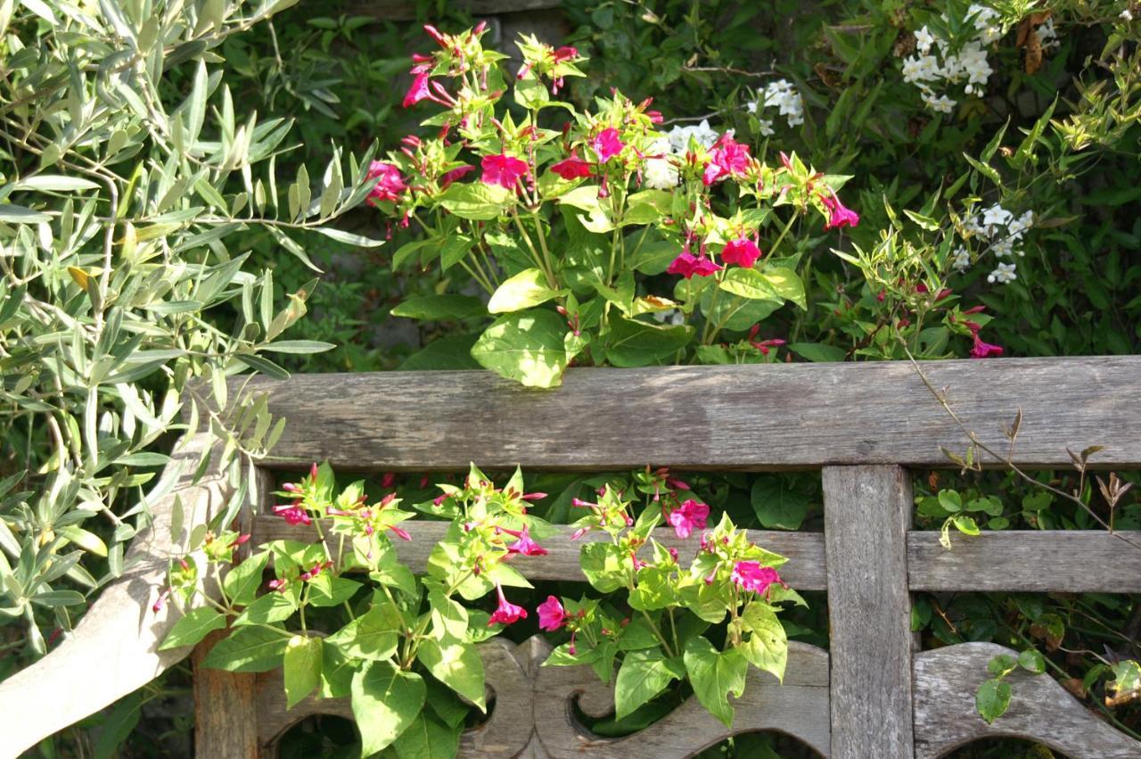 Giverny Cottage Saint-Coulomb Dış mekan fotoğraf